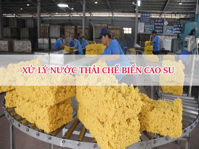 Xử lý nước thải chế biến cao su