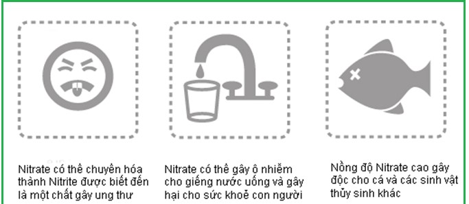 Nitrat và nitrit trong nước uống
