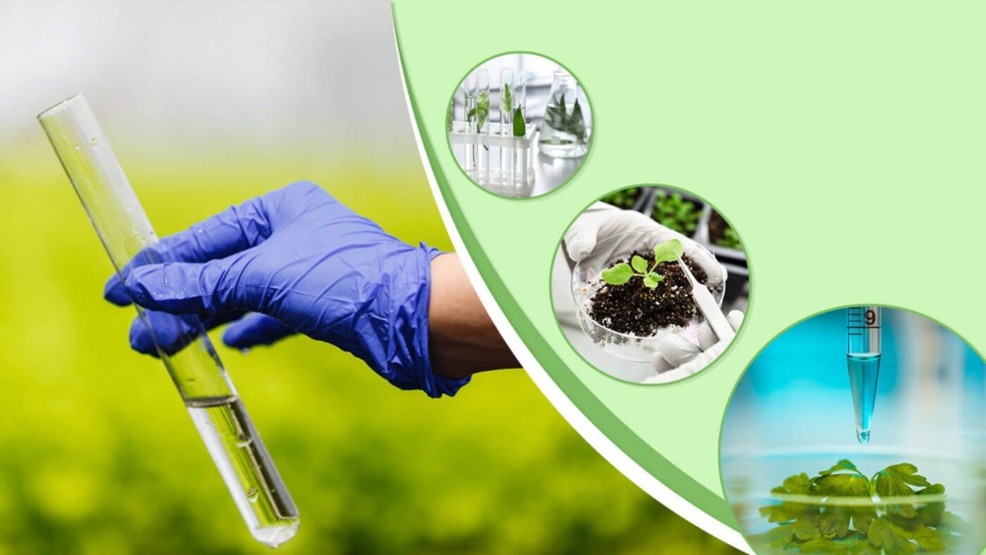 QUAN TRẮC MÔI TRƯỜNG NƯỚC