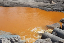 VAI TRÒ CỦA VI KHUẨN KHỬ SULFATE