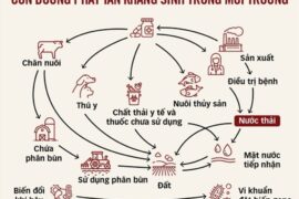 VI SINH VẬT KHÁNG THUỐC KHÁNG SINH