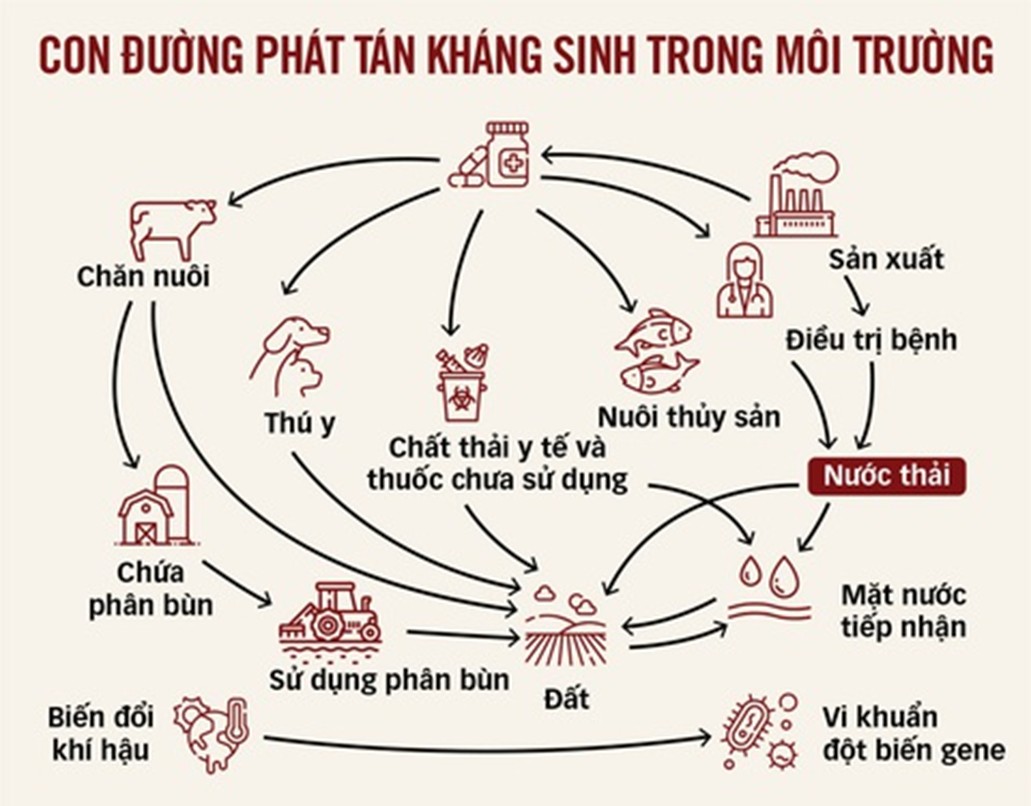 VI SINH VẬT KHÁNG THUỐC