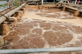 CHẾ PHẨM VI SINH XỬ LÝ NƯỚC THẢI LÀ GÌ?