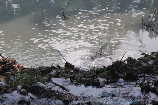 HIỆN TƯỢNG NỔI BỌT TRÊN