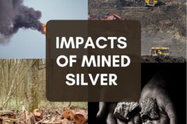 Ô NHIỄM KIM LOẠI BẠC TRONG KHÍ THẢI