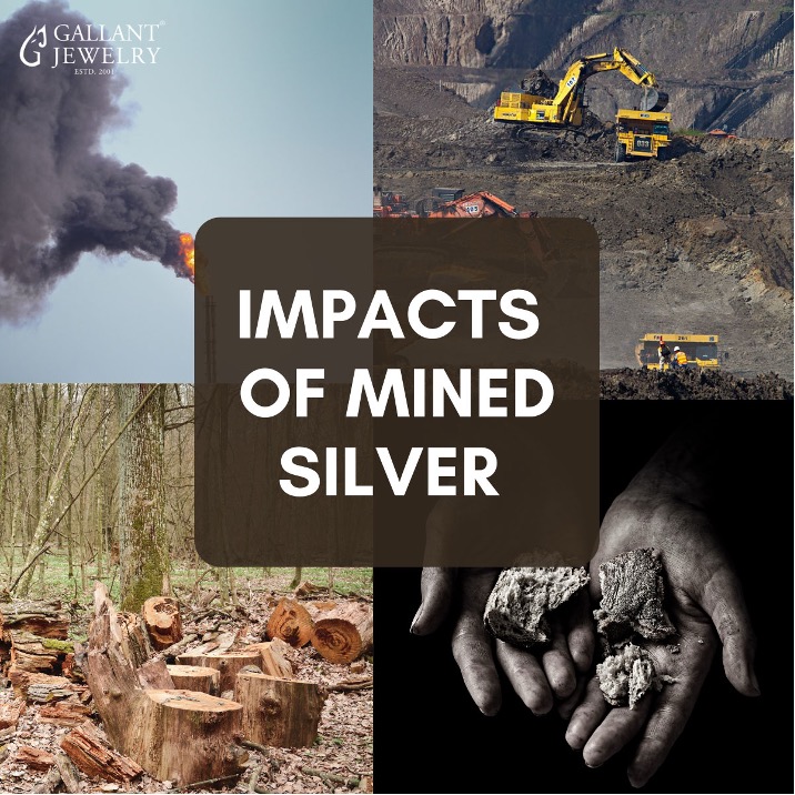 Ô NHIỄM KIM LOẠI BẠC