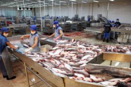 CHẾ BIẾN THỦY SẢN VÀ PHƯƠNG PHÁP KIỂM SOÁT Ô NHIỄM