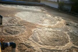 HIỆN TƯỢNG BÙN NỔI TRONG XỬ LÝ NƯỚC THẢI