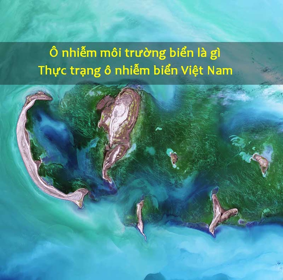 Ô NHIỄM MÔI TRƯỜNG BIỂN