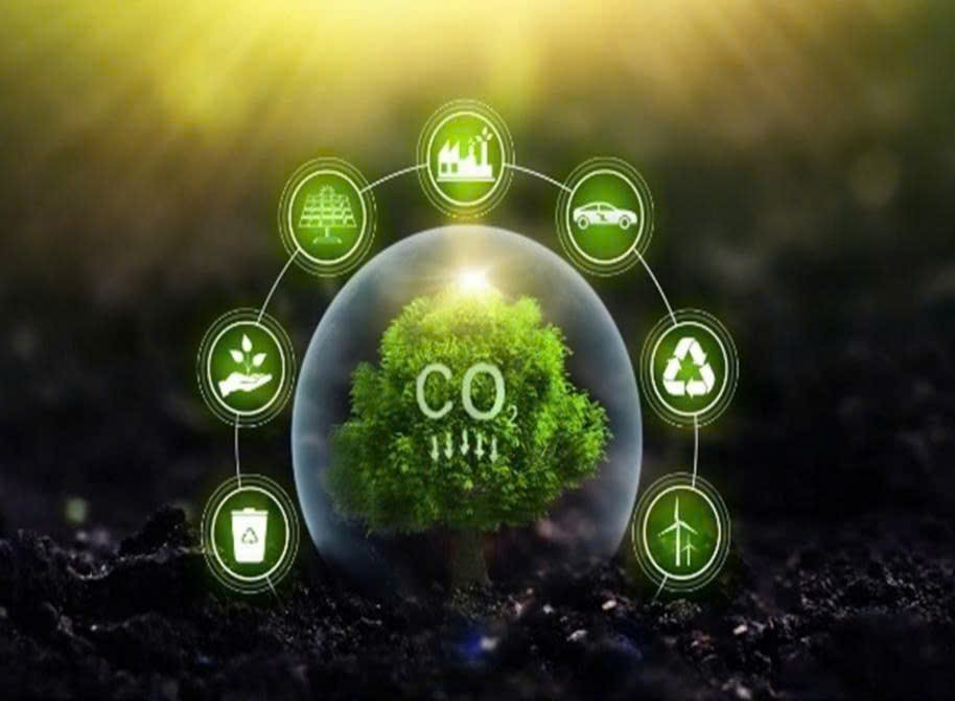 TÍN CHỈ CARBON LÀ GÌ