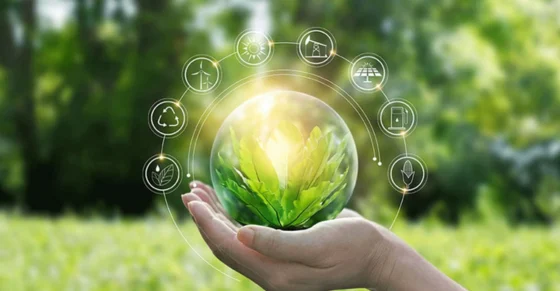 HỒ SƠ VÀ THỦ TỤC CẤP GIẤY PHÉP MÔI TRƯỜNG MỚI NHẤT