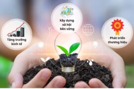 ĐỐI TƯỢNG KHÔNG PHẢI ĐĂNG KÝ MÔI TRƯỜNG